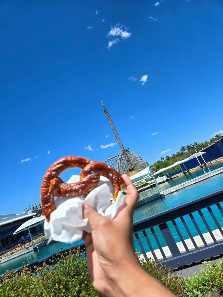 a pretzel in hand clicked against the view of a waterpark ride